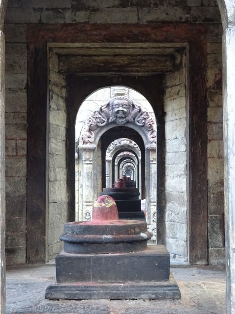 Photo 201